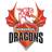 Dindigul Dragons Flag