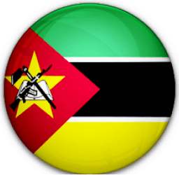Team logo