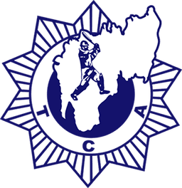 Team logo