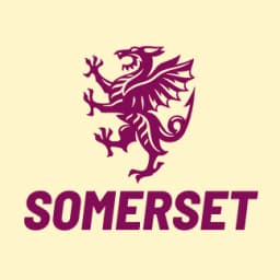 Team logo