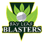 Bay Leaf Blasters Flag